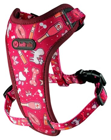 Helltails Anti Zug Hundegeschirr für Kleine Hunde Gepolstert | NO Absorb | Atmungsaktiv Geschirr Hund Reflektierend | Brustgeschirr Einstellbar und Verstellbar | Dog Harness | Champagne Kiss - S