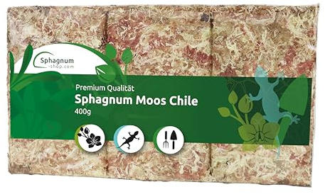 sphagnum-shop.com Muschio di sfagno per terrari e Orchidee dal Cile - Substrato Ideale e Bastoncini di Muschio (150 gr - 4000 gr) (1x 400 gr)