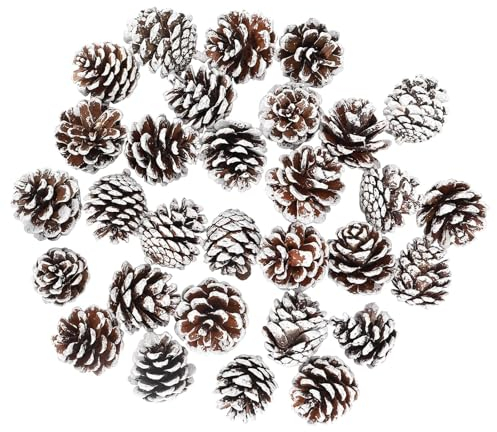 30 PCS pommes de pin,Pommes de pin décorative,Pommes de Pin Naturelles,Mini Pommes de Pin avec Peinture Blanche pour Maison Festive Bricolage Mariages Arbre De Noël Decoration Automne Hiver（2-3cm）