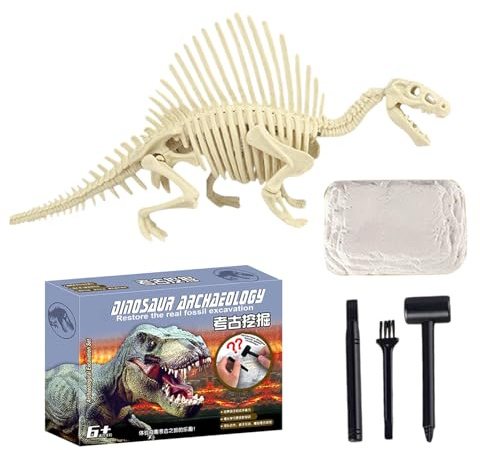 Kit d'excavation fossile,Excavation Modèle Squelette de Dinosaure | Jouet Scientifique STEM Paléontologie Apprentissage Manuel Pratique pour 4 6 Ans Fête Anniversaire