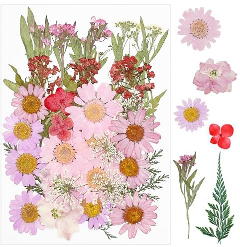 Cayway 36 Pz Fiori Secchi per Resina, Rosa Naturali Pressati Fiori Pressati Secchi, Fiori Secchi Fiori Pressati Secchi Naturali per Candele Fai Da Te Gioielli Resina Partecipazion