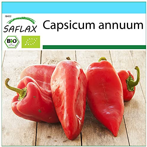 SAFLAX - Presentförpackning - Ekologiskt - Paprika - Lång Röd Marconi - 20 Frön - Med presentförpackning, kort, etikett och pottsubstrat - Capsicum annuum