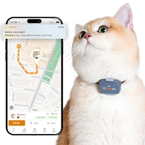 Pawfit Lite GPS-Tracker mit 4G für Katzen | Tracking in Echtzeit | Aktivitätsüberwachung |Standortverlauf | Unbegrenzte Reichweite | Inkl. Halsband mit Klickverschluss | Fliedergrau