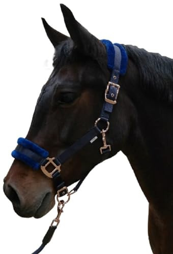 Brama West Cabestro Fiona con peluche anatómico – ajustable en 2 posiciones – con herrajes de oro rosa – Azul – Talla Cob