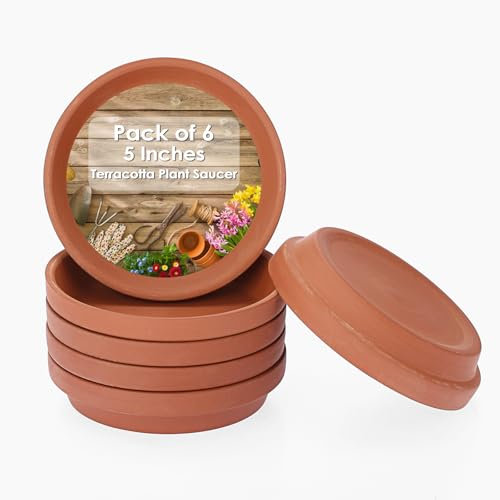 SUMTree 12.6cm Terracotta Pot Plant Saucer, 6pcs Round Plant Pot Saucers, Small Clay Plant Tray Terracotta Saucers Perfect for 3/4/4.5 Inch Flower Pot with Drainage Hole for Indoor/Outdoor