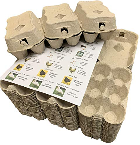 Anglia Farm Supplies 100 Cardboard egg boxes half dozen cartons for medium to large eggs with 24 labels