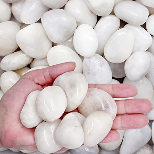LONTOM 2.2lb White Pebbles Natural Decorative Stone Polished Gravel River Rocks for Plants, Home DIY Decor,Aquarium Gravel,Vase Fillers,Fairy Garden,Landscaping Outdoor Stones