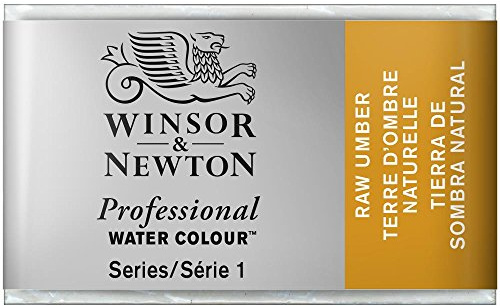 Winsor & Newton Acuarela Profesional - Pintura de Acuarela, Alta Luminosidad, Resistente a la Luz, Calidad de Archivo, Godet, Color Tierra De Sombra Natural