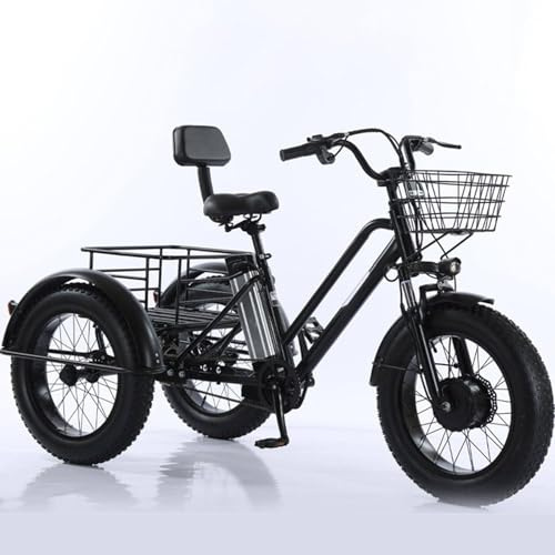 GplHAIN Bici Elettrica da Carico con Pneumatici Larghi da 20'', Triciclo Elettrico per Adulti - Carico 200 kg, per Pendolarismo E Viaggi