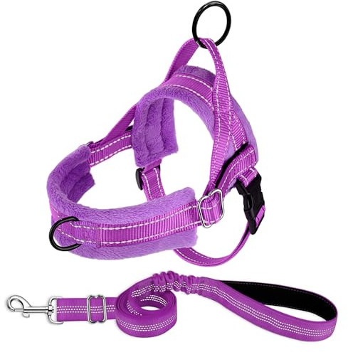 SlowTon Imbracatura e guinzaglio per Piccolo Cane, Guinzaglio per Cani a Rapido Imbottita per Cani con Guinzaglio per Cani Riflettente Regolabile per Cuccioli Passeggiate