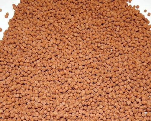 Koifutter Fischfutter Teichfutter schwimmend Verschiedene Sorten 5 Kg Beutel (3mm rot 5 Kg)