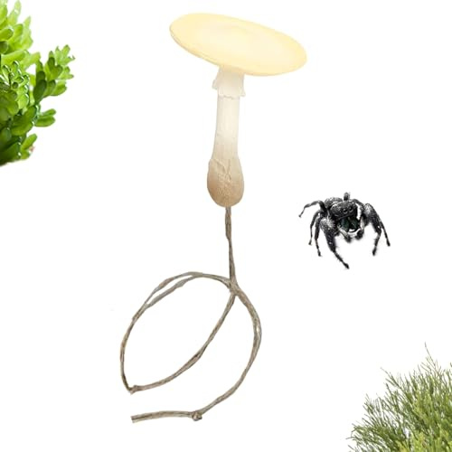 Accesorios De Hábitat para Arañas Saltarinas - Parque Magnético | Decoración Magnética para Terrario De Arañas Saltarinas,para Reptiles Cangrejos Ermitaños Animales Pequeños En