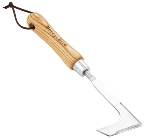 Berry&Bird Fugenkratzer, Unkrautkratzer aus Edelstahl, Unkrautmesser, Fugenreiniger, Fugenmesser mit Stiel aus Eschenholz zum Entfernen von Moos und Unkraut