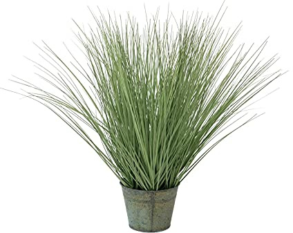 Europalms 82600145 prydnadsgräs, 65 cm