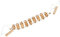 Gravidus Massageband für Rücken mit Rollen Rückenmassagegerät Massagegerät Rücken mit Griffen aus Holz und 47 cm Rollfläche