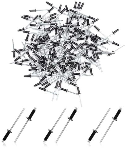 HUANR Rivets, 200 Pièces Rivet Aveugle à Tête Dôme à Grande, Rivet Plaque Immatriculation, Rivet Noir, Rivets Aveugles en Aluminium, Rivet Long pour Meubles, Réparation Connexions, Fixation