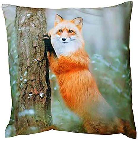 Kissenhüllen Dekokissen 40x40 cm Kissenbezug Fotokissen Kissen Hüllen Bezug Bezüge Fuchs
