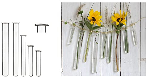 NaDeco Reagenzgläser mit Bördelrand, Packung mit 12 Stück, in 4 Größen erhältlich | Glasröhrchen | Vaseneinsatz | Floristenglas | Reagenzgläser für Blumen