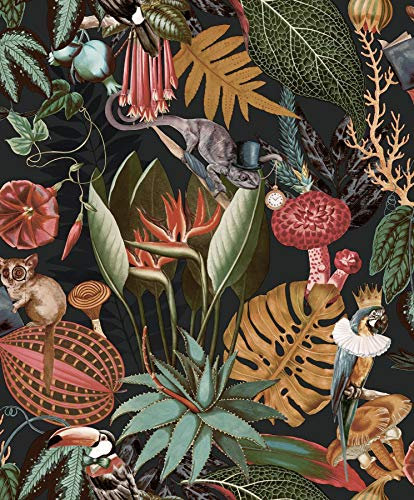Wonderland Jungle Exotic Wallpaper Holden Black Birds Animals