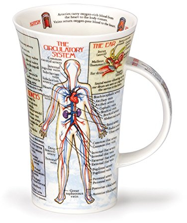 Dunoon, Trinkbecher, Glencoe, Biologie, porzellan, Bodyworks, Einheitsgröße