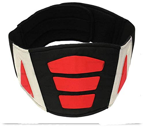 Bresetech MOTORRAD NIERENGURT Motorrad NierenschutzNierenwärmer NierenProtektor Damen Herren unisex Nierengurt Größe S M L XL XXL (M