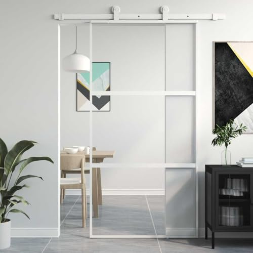 ACAGALA Puerta corredera de Cristal, 102,5 x 205 cm, Cristal de Seguridad ESG, Marco de Aluminio, Separador de Espacios, Puertas correderas Interiores Minimalistas, (Sin Accesorios)