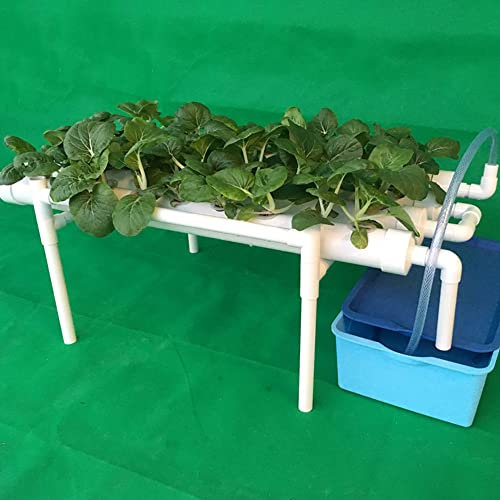 NeNchengLi Kit de cultivo hidropónico de 36 agujeros, para jardín, cultivo hidropónico, sistema hidropónico, sistema de cultivo hidropónico, sistema de cultivo sin tierra para verduras, hierbas en