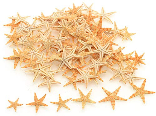 TIHOOD 90PCS 0.4-1.2 Small Starfish Star Sea Shell Beach Crafts Decor (Yellow)