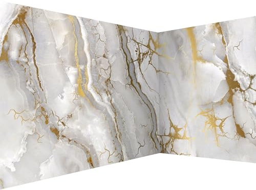 murando - Papier peint panoramique artistique 550x250 cm - Revêtement mural décoration pour chambre salon cuisine - Design unique et moderne - Beige gris - f-C-10015-a-a
