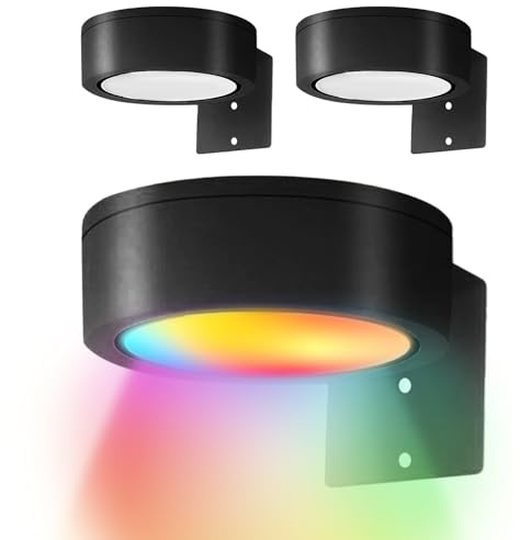Vägglampor - fotocampion för vägg 8,6x3cm, dimbar trådlös tavellampa | RGB-belysning med fjärrkontroll timer-funktion för fotokonstverk affischer vardagsrum sovrum dekoration