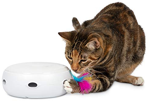 PetFusion [New & Improved] Ambush Interactive Electronic Cat Toy w/ Rotating Feather.(Quiet,3 Modes, Nighttime Light, Auto Shut-off, Batteries Incl). Replacement Feathers Available. 12 MONTH WARRANTY