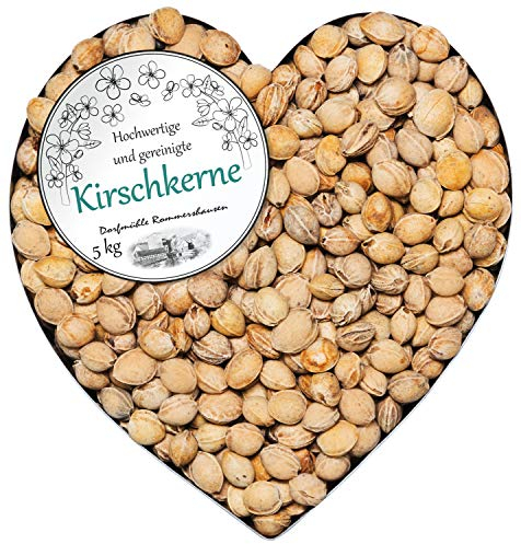 Kirschkerne lose für Wärmekissen Kirschkernkissen Kissen Waermekissen Baby Füllung Körnerkissen Kerne Koernerkissen 1-30 kg Füllmaterial Kirschkern Auswahl DML, Menge:5 kg (3.96EUR/kg)