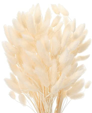 JKDHJK 50 Pcs Herbe De La Pampa Fleurs Séchées Ne Se Fanent Jamais Fleur Sechees Décoration Naturelle Boheme Fleurs Déco Anniversaire Décoration Mariage Décoration Maison (Blanc)