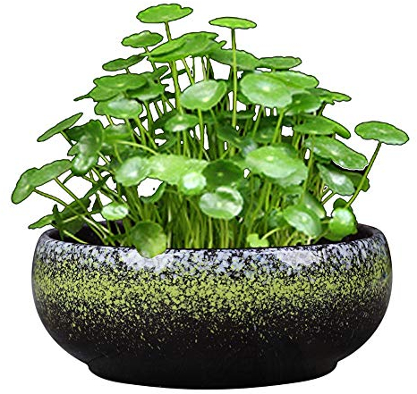 Einfacher Keramik-Hydrokultur-Blumentopf, großer, porenfreier Narzissen-Blumentopf, Retro-Flow-Glasur, Sukkulentenplatte, Keramik, porenfreies Kupfer, Geldgras/Einblatt-Lotus/Schüssel, Lotusbecken