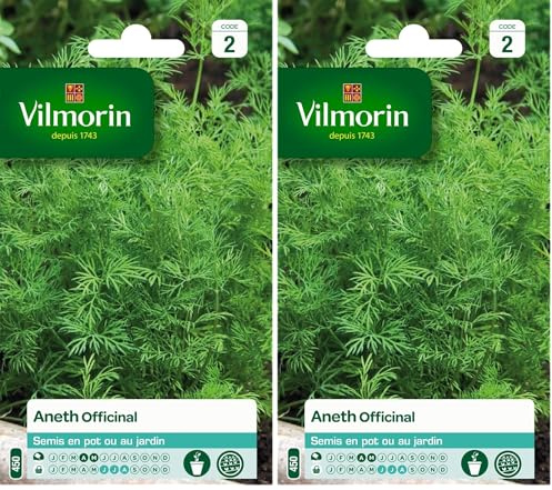 Vilmorin 5871046 Pack de Graines Aneth Officinal (Lot de 2)