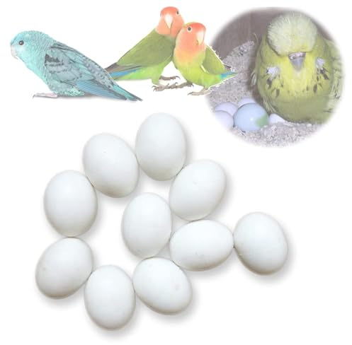 MESINURS Solid Dummy Eggs - Bird Hatching Plastic Eggs for Guiding Love Bird, Lineoleated, English Budgie to Stop Laying, 10 PCS(L)