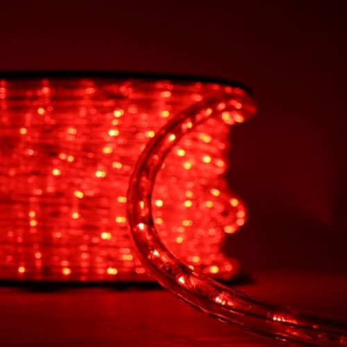 Luccika Tubo luminoso LED rojo profesional de 50 metros, recortable, listo para su uso, con accesorios IP67, para uso interior y exterior