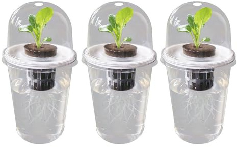 carotoe genomskinlig luftande planteringsbehållare med synlig rot för blommor och grönsaker som odlar hydroponisk sådd planterare behållare frökorg transparent rotutsikt koppar blomma växande