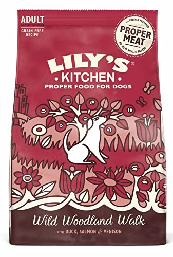 Lily's Kitchen Wild Woodland Walk Grain Free Dog Food, 1 Kg