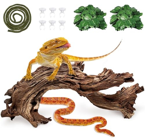 Hamiledyi Reptile Driftwood Branch Decor Terrarium Ornament Wood Climbing Natural Aquarium Driftwood Decoration for Snake Bearded Dragon Leapord Gecko Lizard Iguana
