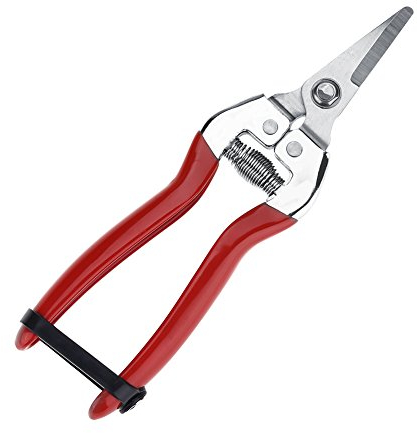 Fydun Sécateur Shears, Pince à Greffer Professionnelle d’Arbres Fruitiers Ciseaux à Élaguer Solide Bonsaï Jardinage Ciseaux pour Tondeuse pour Arbres Sécateur Clippers(S'accroupir)