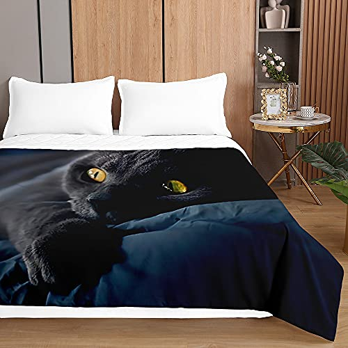 Chickw1 Tagesdecken Bettüberwurf, 3D Katze Drucken Sommer Tagesdecke mit Prägemuster Wohndecke aus Mikrofaser Bettdecke für Einzelbett Doppelbett oder Kinder (Schwarze Katze,230x260cm)