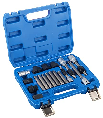 DAYUAN 18pcs Alternator Pulley Removal Tool Kit, Service Decoupler Insert Bit Socket Set Generator Freewheel Removal