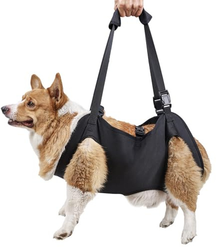 Imbracatura di Sollevamento Cani, Gilet Regolabile Riabilitazione Cane, Supporto Imbracatura con Fibbia per Tutto il Corpo Facile da Indossare per i Vecchi Cani Disabili Che Soffrono di Lesioni