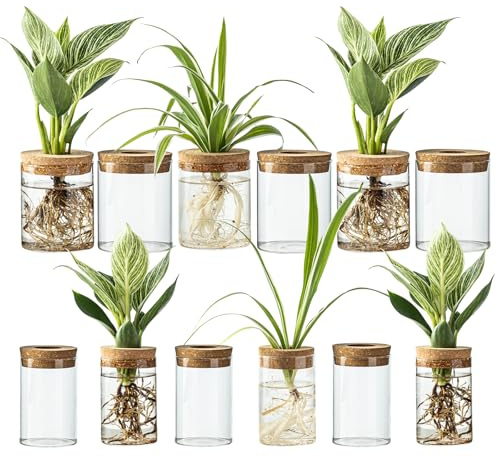 Glass Plant Propagation Stations for Plants – Set of 4(6 Large & 6 Small) Hydroponic Vases for Plant Cuttings,Flower Arrangements, Home & Office Decor–Desktop Vases for Living Room, Bedroom (12)