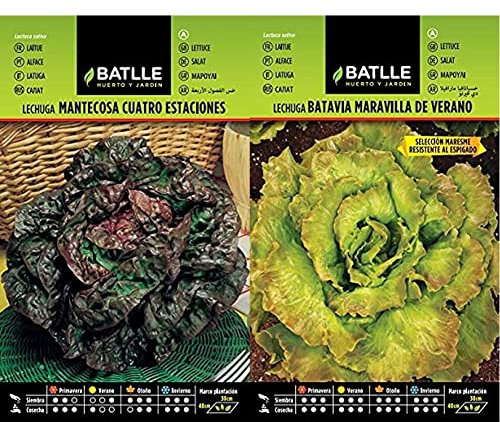 Lechuga Marv. 4 ESTACIONES & Lechuga Marv. Verano MARESME