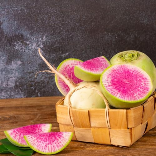 semillas de rábano, rábano daikon decoración de sala estar jardín en el balcón trepadoras resistentes en decoración rara jardín rocas balcón 150pcs