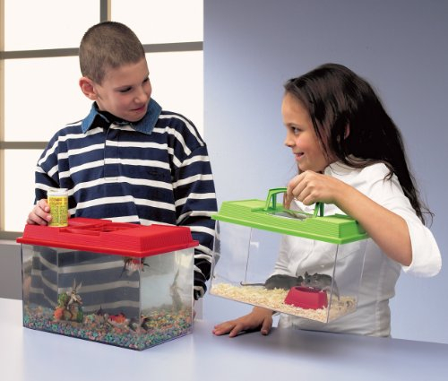 Nobby Fauna-Box 27 x 17 x 18 cm; 6,0 ltr.