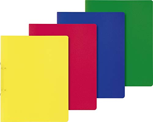 Baier & Schneider Brunnen 106550528, Ringbuch für A4, transluzente PP-Folie, Fact!Pp, 10 Stück