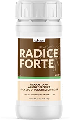 CLOSTER Radice Forte Micorrize 150 gr - Sviluppa e Rafforza Le Radici Contro Stress Termici e Idrici - Concime Fertilizzante Piante Prato Orto Talea - Stimola Le Difese Contro Batteri Funghi Malattie